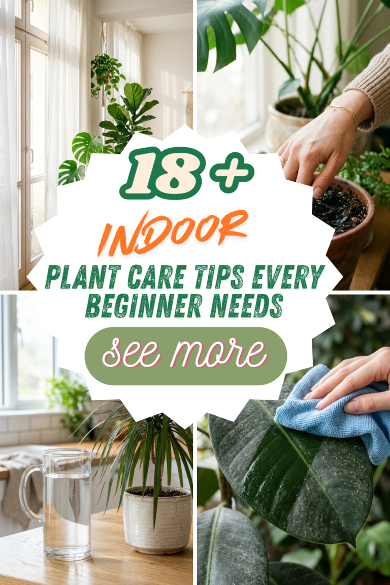 18 Indoor Plant Care Tips Every Beginner Needs