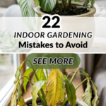 22 Indoor Gardening Mistakes to Avoid