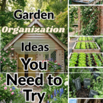 11 Garden Organization Ideas You Need to Try