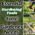 20 Essential Gardening Tools Every Gardener Needs