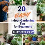 20 Easy Indoor Gardening Tips for Beginners: Transform Your Home into a Lush Oasis