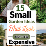 15 Small Garden Ideas That Look Expensive