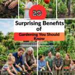 The Hidden Power of Soil: 20 Surprising Benefits of Gardening