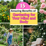 15 Amazing Benefits of Gardening for Your Mind and Body