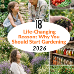 18 Life-Changing Reasons Why You Should Start Gardening