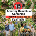 15 Amazing Benefits of Gardening That Will Inspire You to Start Today