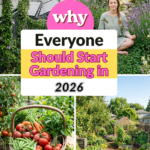 Why Everyone Should Start Gardening in 2026