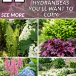 11 Beautiful Companion Plants for Hydrangeas You’ll Want to Copy