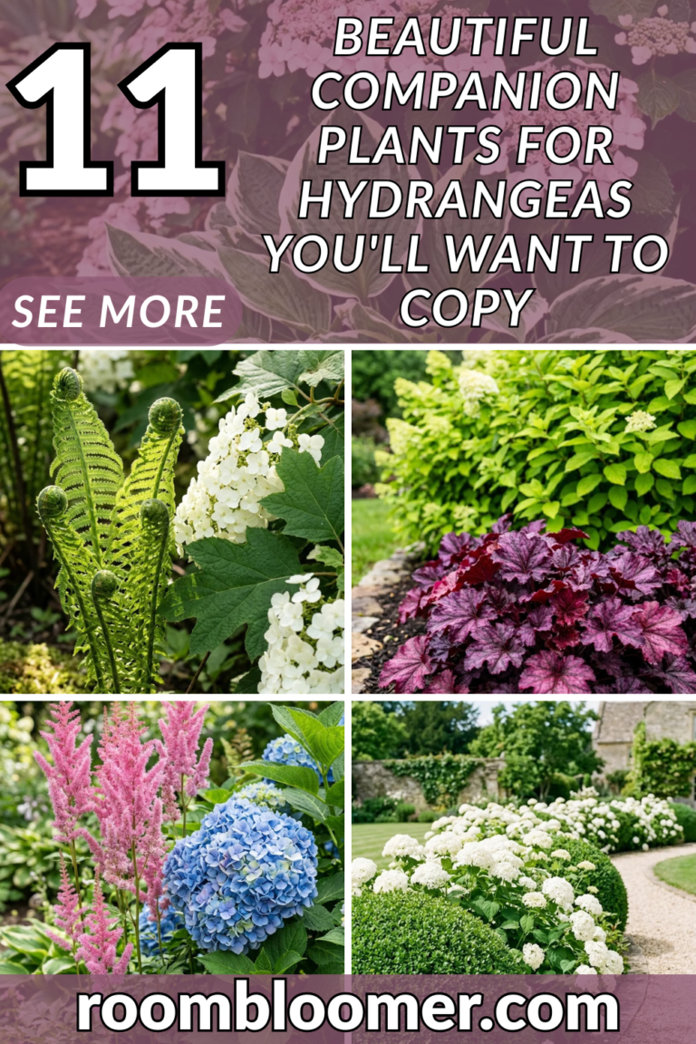 11 Beautiful Companion Plants for Hydrangeas You’ll Want to Copy