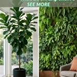 11 Indoor Gardening Ideas for Apartments That Look Expensive