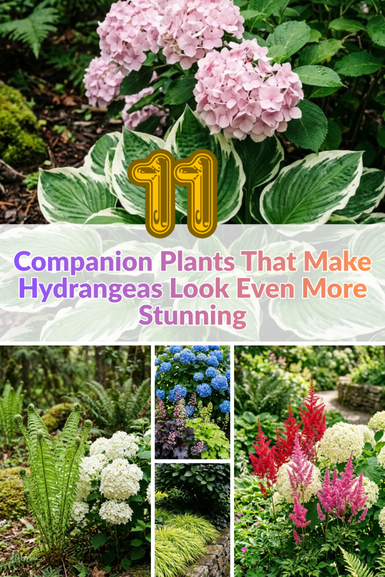 11 Companion Plants That Make Hydrangeas Look Even More Stunning