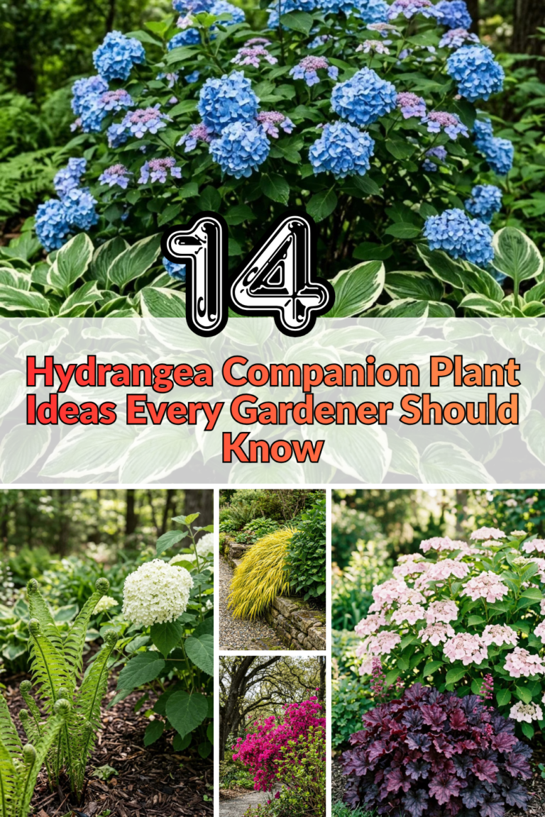 14 Hydrangea Companion Plant Ideas Every Gardener Should Know