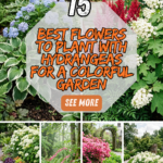 15 Best Flowers to Plant with Hydrangeas for a Colorful Garden