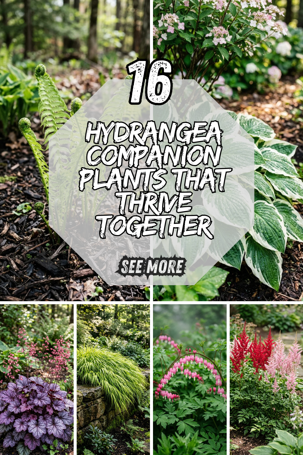 16 Hydrangea Companion Plants That Thrive Together
