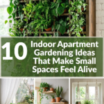 10 Indoor Apartment Gardening Ideas That Make Small Spaces Feel Alive