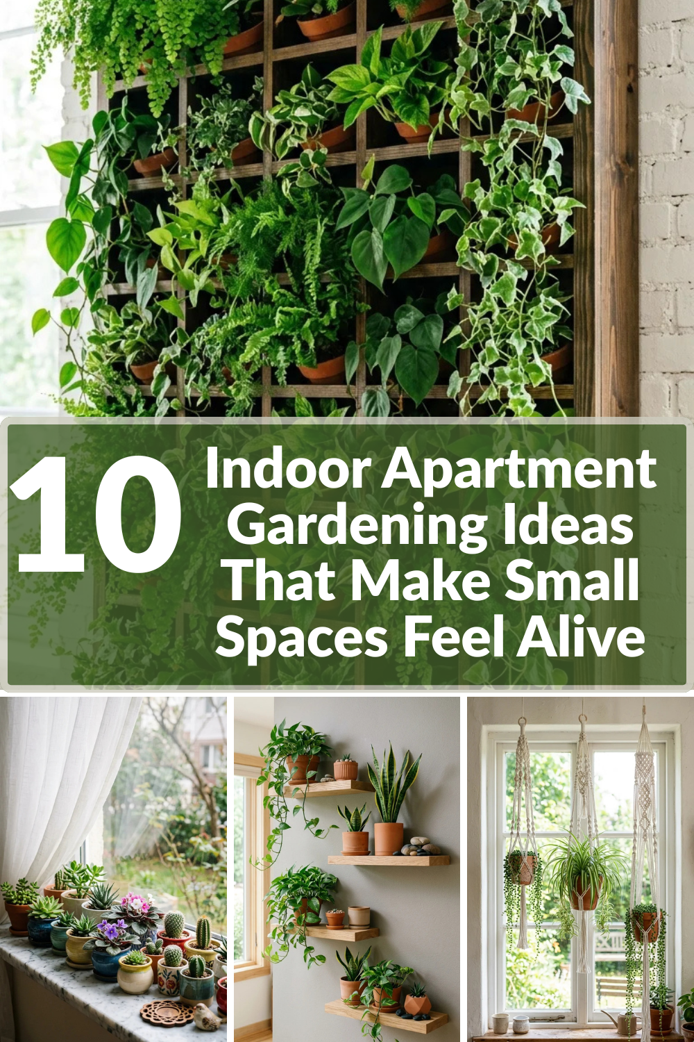 10 Indoor Apartment Gardening Ideas That Make Small Spaces Feel Alive