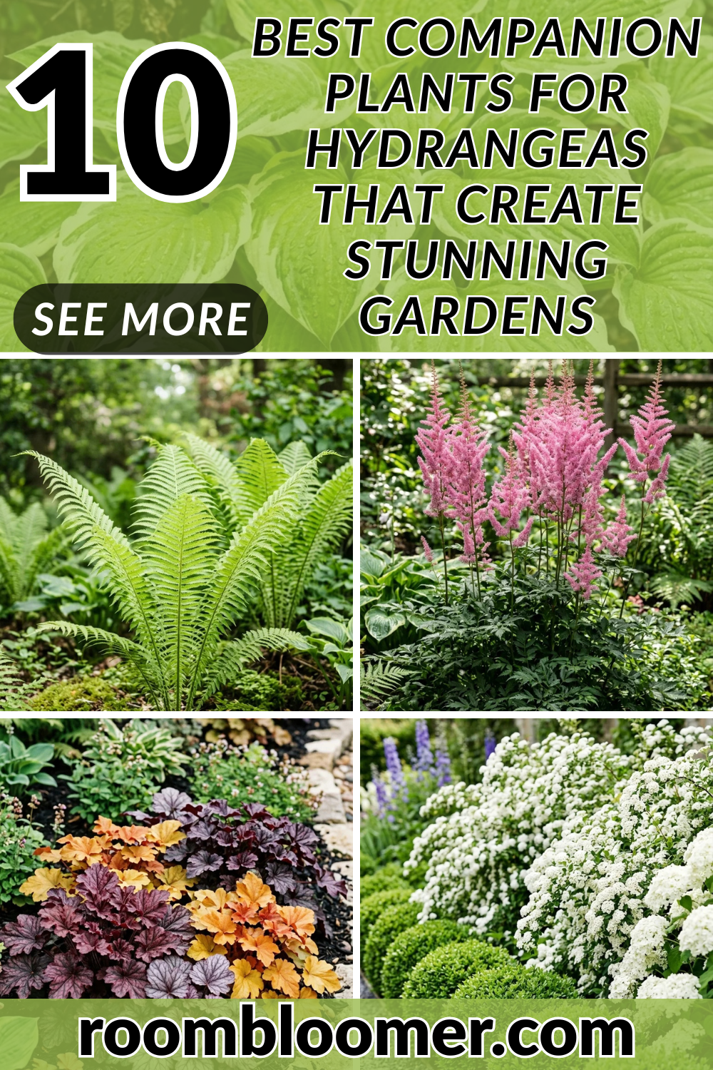 10 Best Companion Plants for Hydrangeas That Create Stunning Gardens