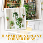 11 Apartment Plant Corner Ideas That Look Stunning