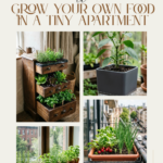 17 Creative Ways to Grow Your Own Food in a Tiny Apartment