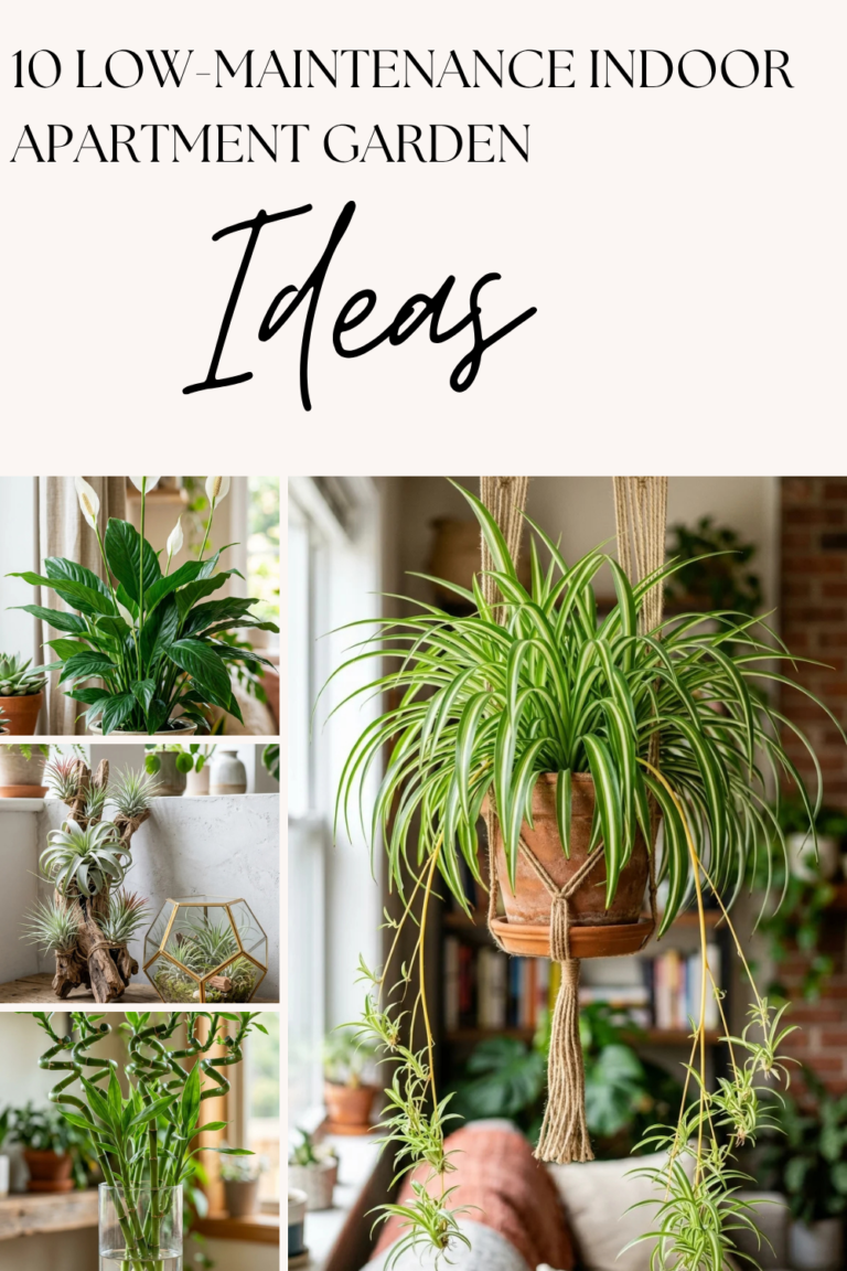 10 Low-Maintenance Indoor Apartment Garden Ideas