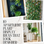 10 Apartment Plant Display Ideas That Look Designer-Made