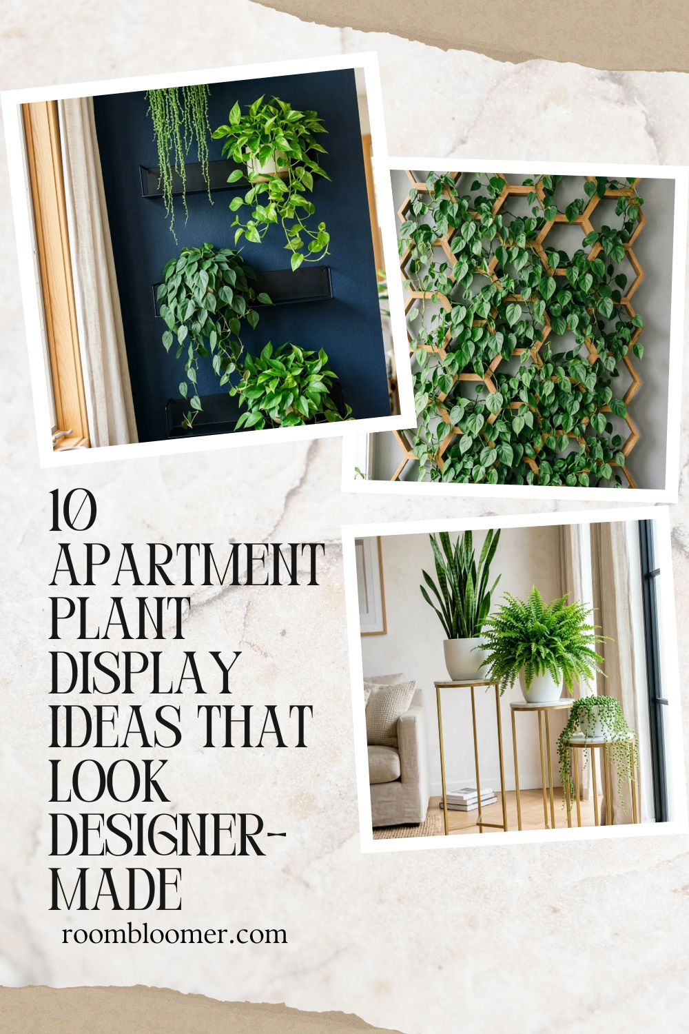 10 Apartment Plant Display Ideas That Look Designer-Made