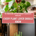 10 Indoor Apartment Garden Hacks Every Plant Lover Should Know