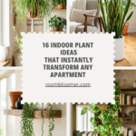 16 Indoor Plant Ideas That Instantly Transform Any Apartment