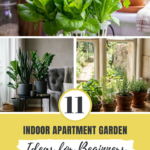 11 Indoor Apartment Garden Ideas for Beginners