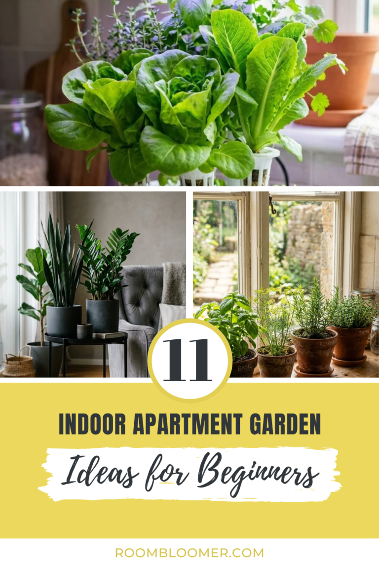 11 Indoor Apartment Garden Ideas for Beginners