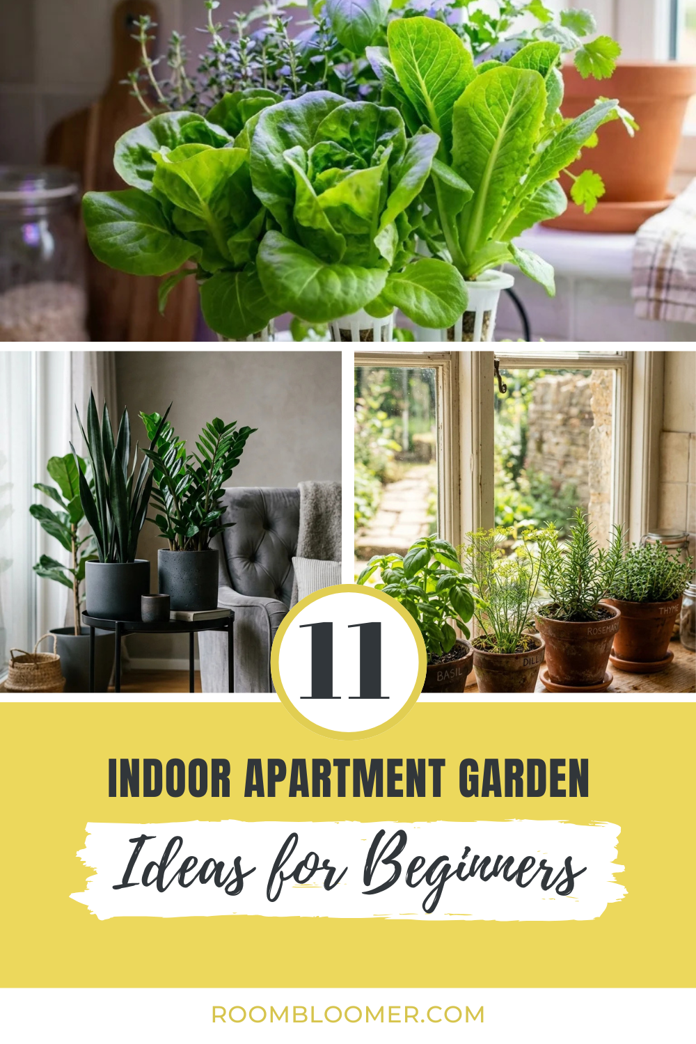 11 Indoor Apartment Garden Ideas for Beginners