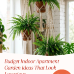 16 Budget Indoor Apartment Garden Ideas That Look Luxurious
